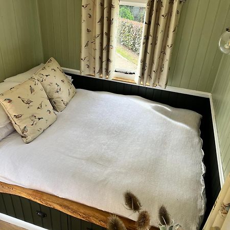 Stonehenge Campsite & Glamping Hotel Berwick St James Ngoại thất bức ảnh